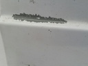 1000284002068_20181207122626.jpg