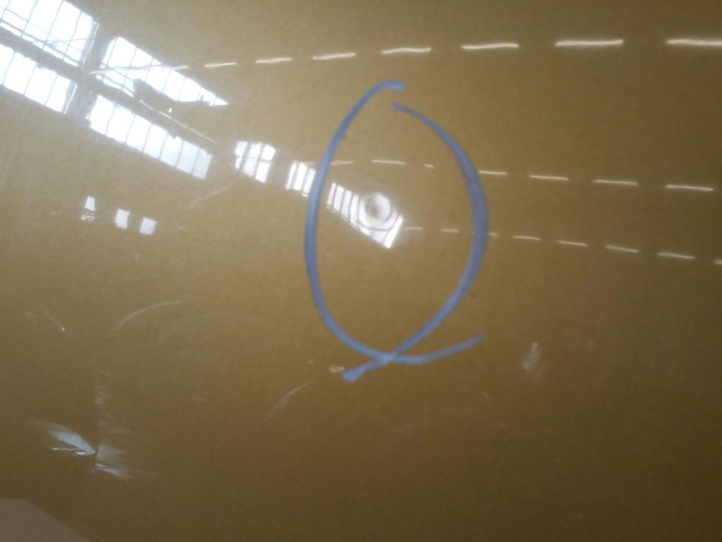 1000300762068_20190219144108.jpg