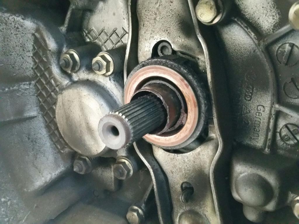 1000227062068_20190320161458.jpg