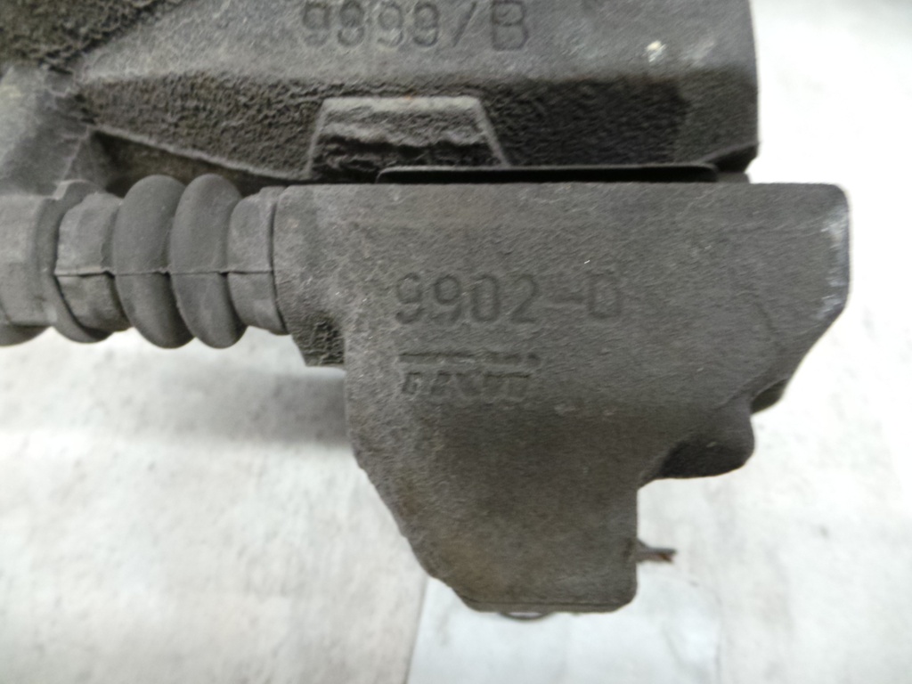 20201007_081819.JPG