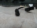 20201024_105157.JPG