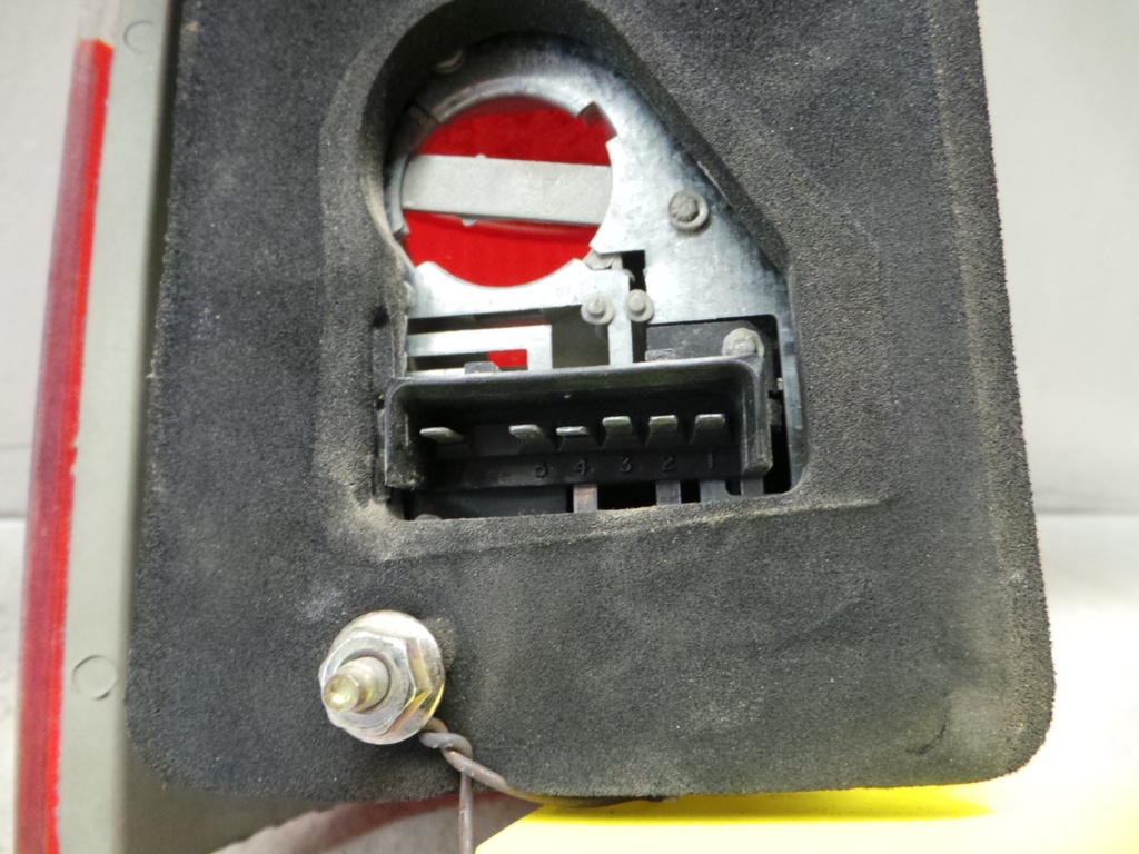20201102_105434.JPG