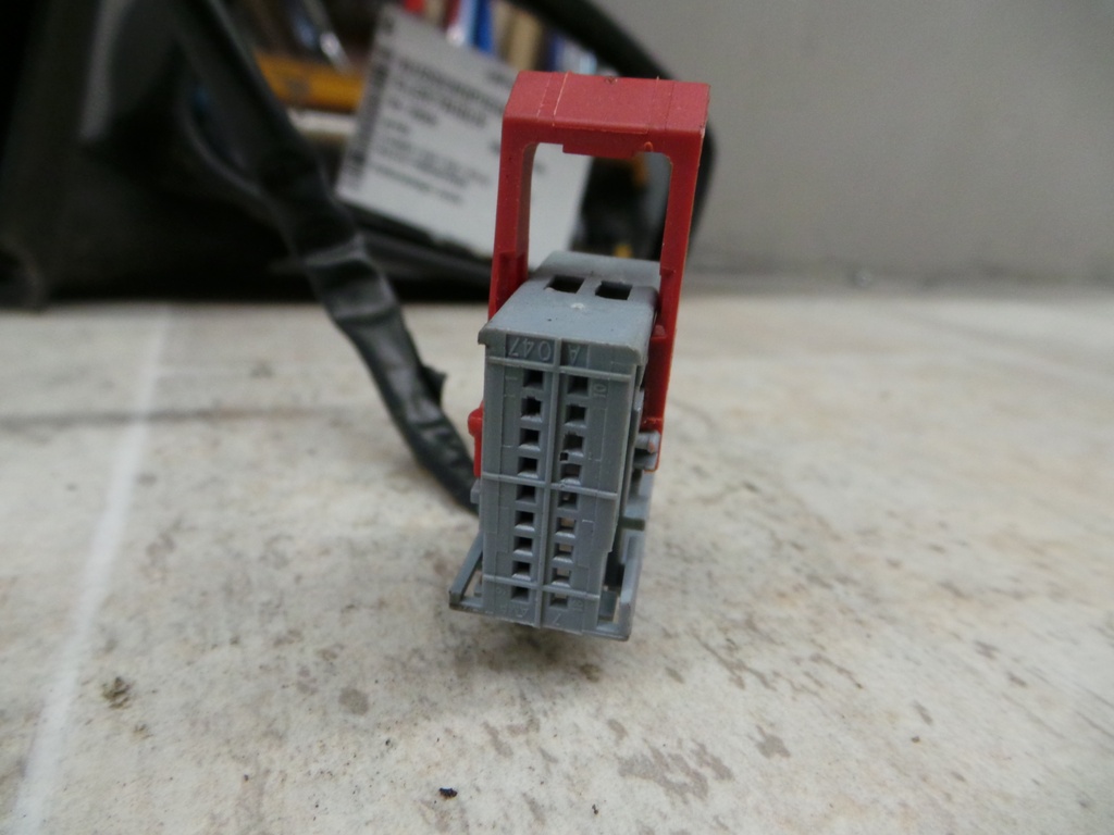 20201102_121022.JPG