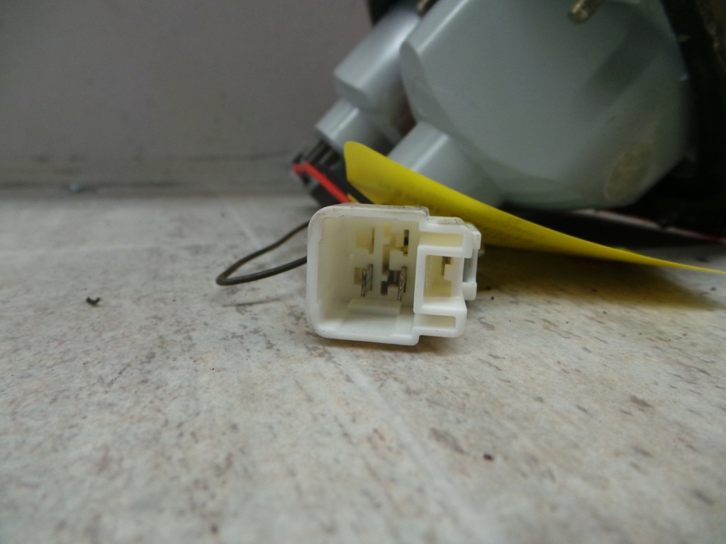 20201104_113039.JPG