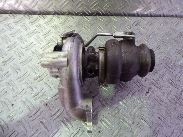 P1050351.JPG