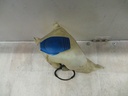 20201117_120903.JPG