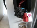 20201125_093704.JPG