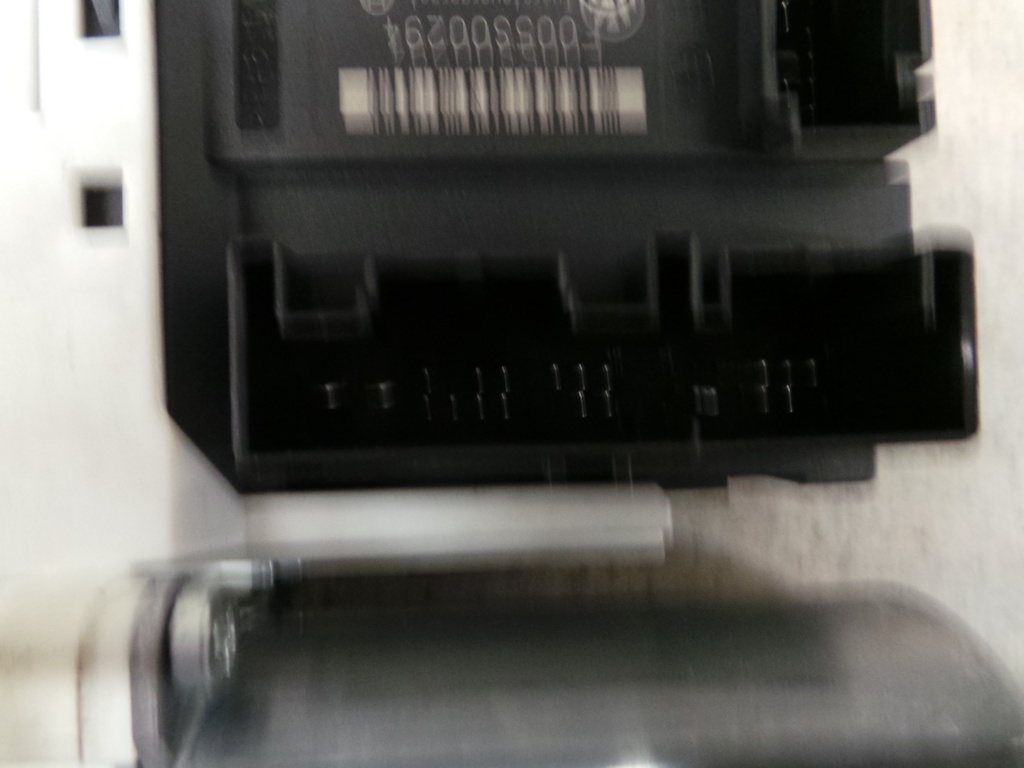 20201127_154546.JPG