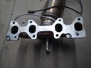 IMG_20201211_103725.jpg