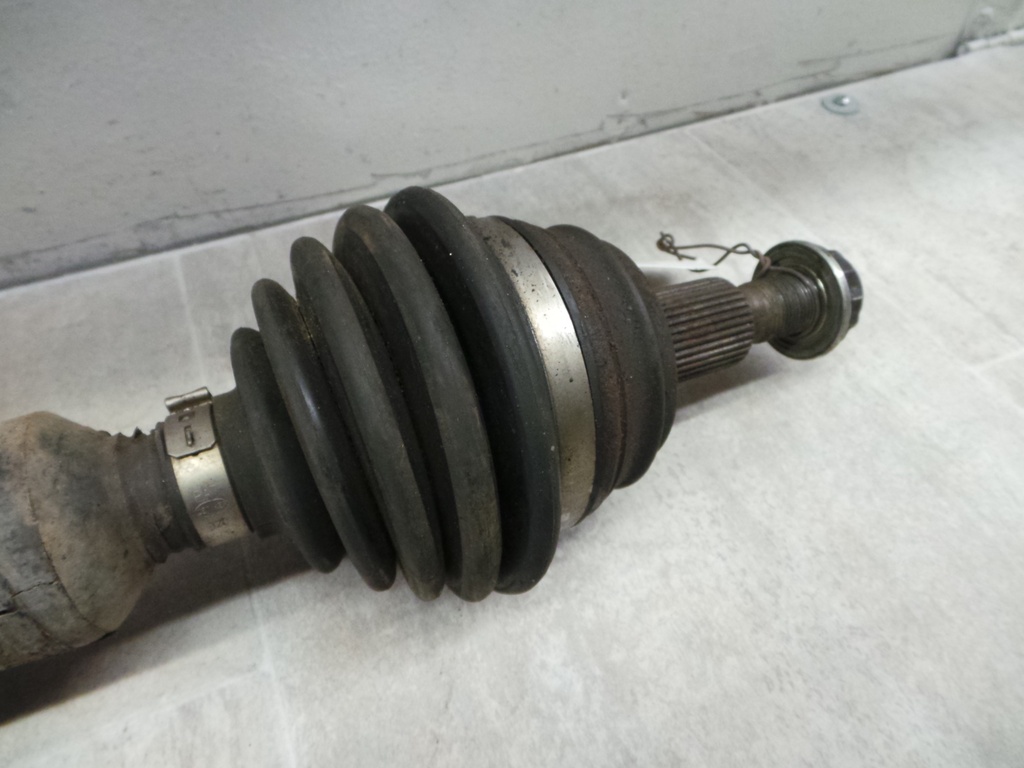 20201221_104131.JPG