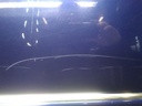16091657587913596752632241307879.jpg