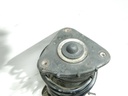 DSCN4182.JPG