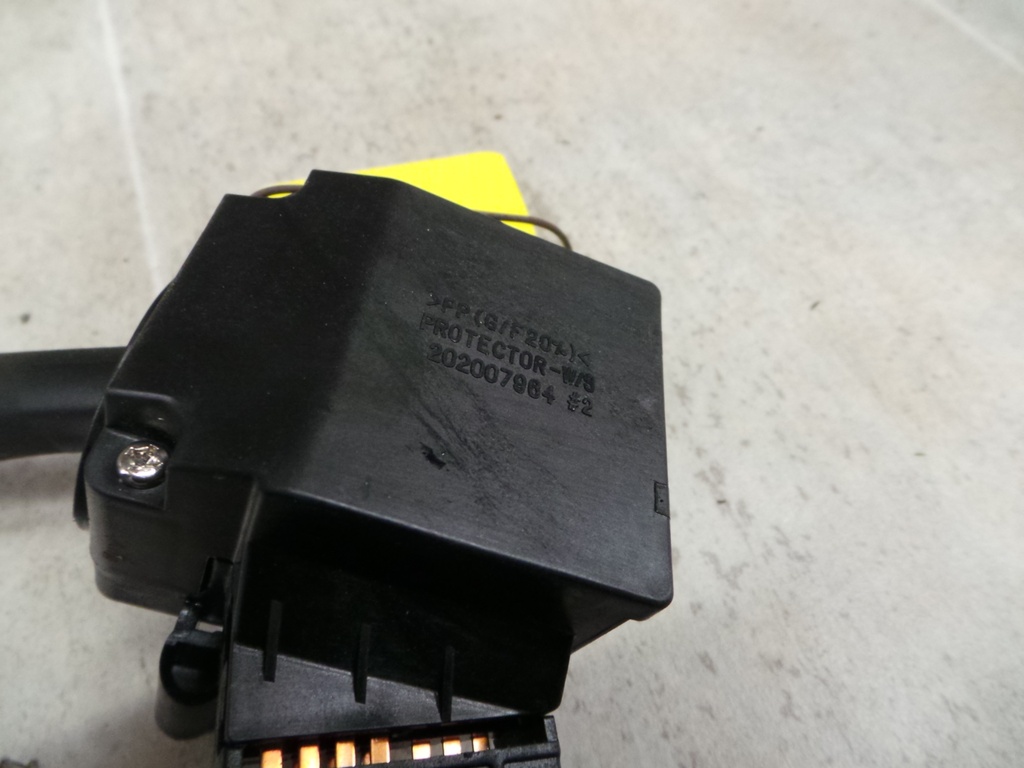 20210114_155621.JPG