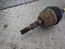 DSCN1050.JPG