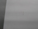 1613125338311173279797818183410.jpg