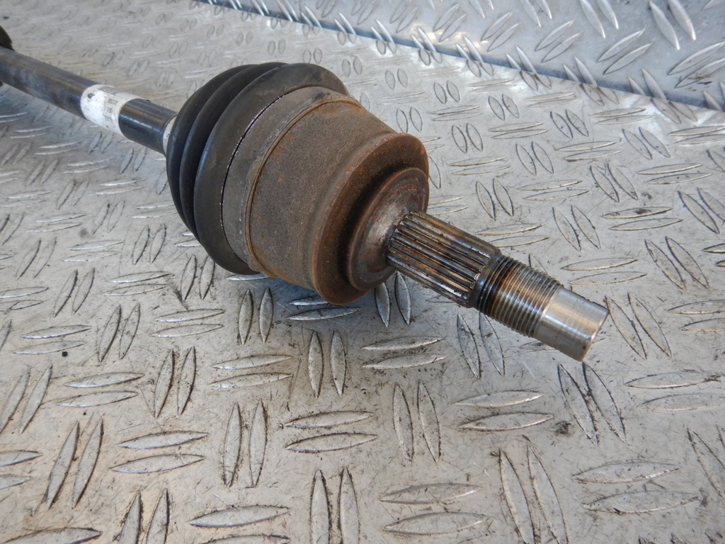 DSCN1415.JPG