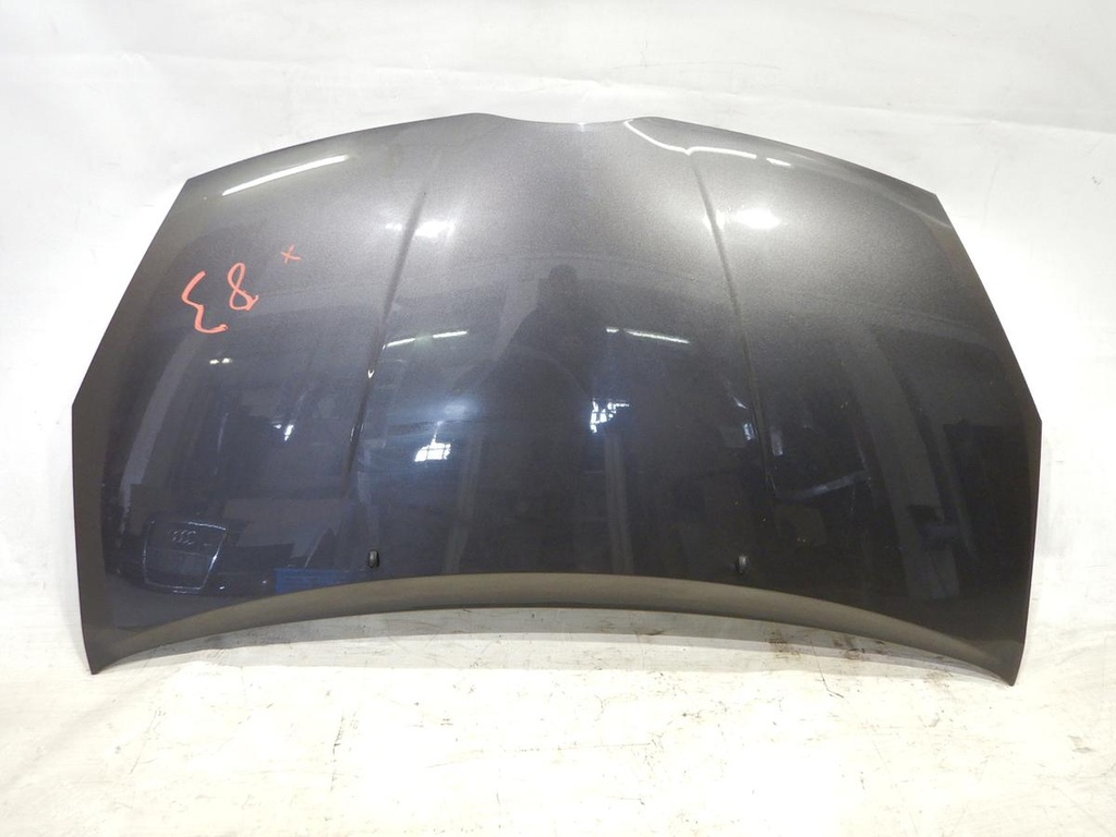 DSCN0804.JPG