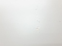 20210511_095919.jpg