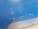 20210603_124233.jpg
