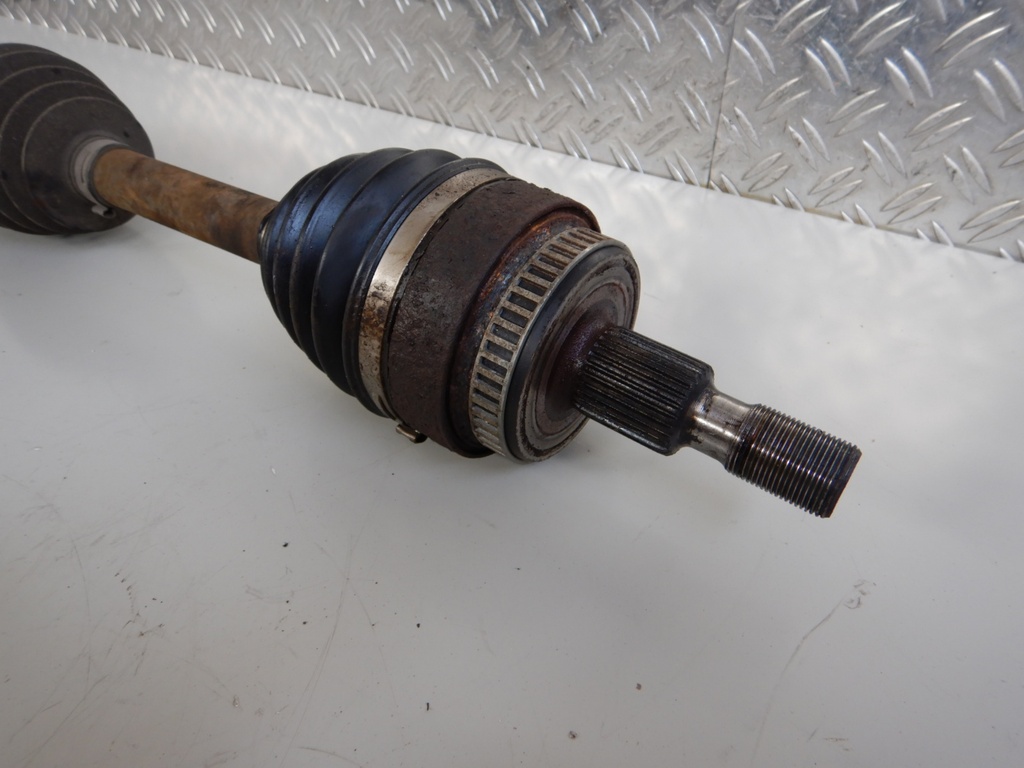 DSCN2706.JPG