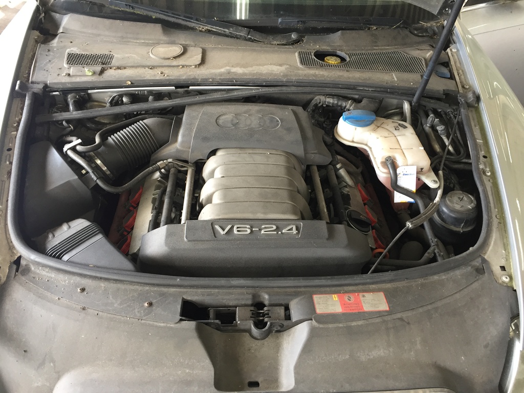 IMG_3553.JPG