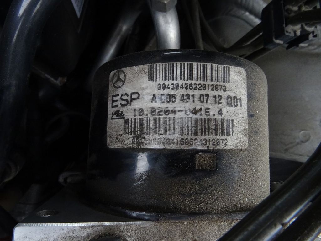 DSC03554.JPG