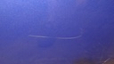 DSC02283.JPG