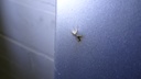 DSC02527.JPG