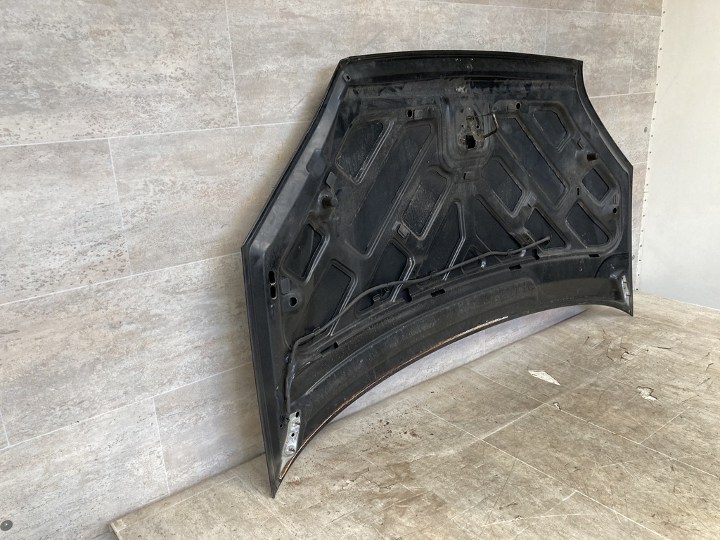 IMG_5668.JPG