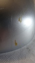 DSC05225.JPG