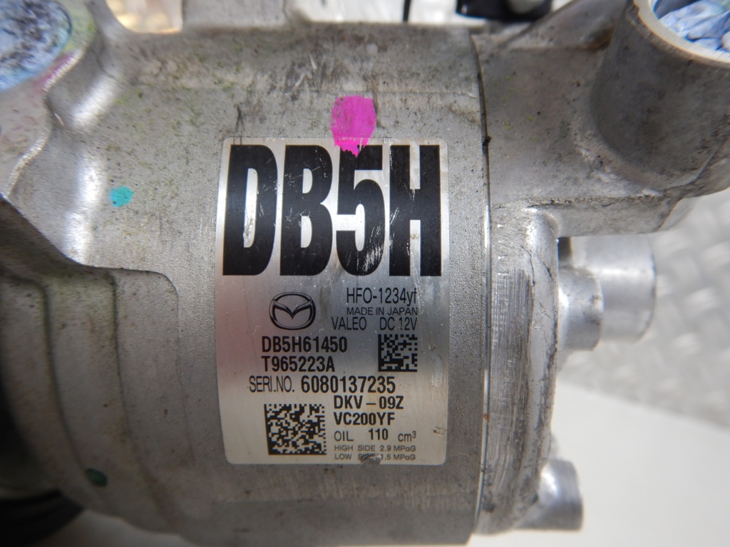 DSCN3597.JPG