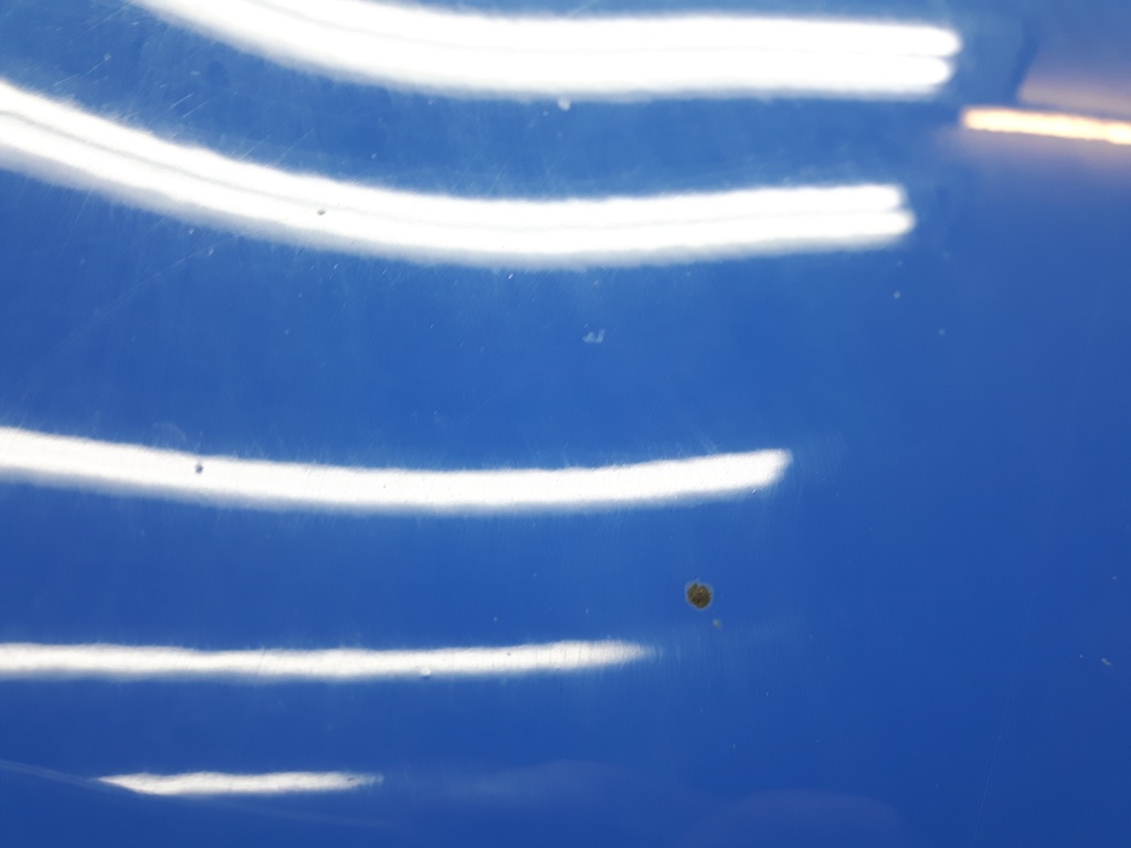 20210817_150612.jpg