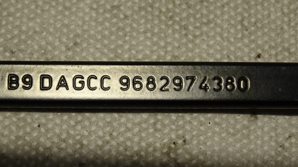 DSC08279.JPG