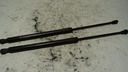 DSC08356.JPG