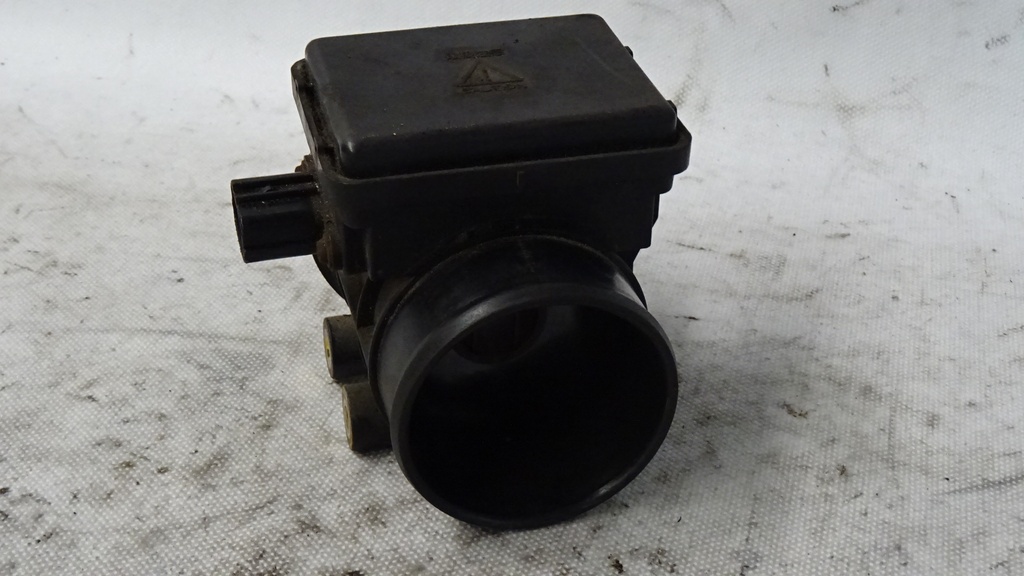 DSC08786.JPG
