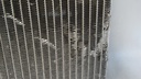 DSC09037.JPG
