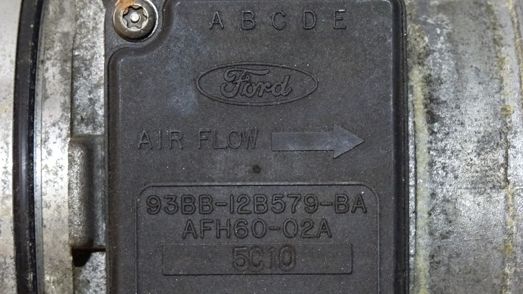 DSC09365.JPG