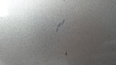 DSC00293.JPG
