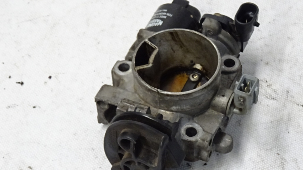 DSC00727.JPG