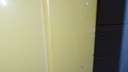 DSC01050.JPG
