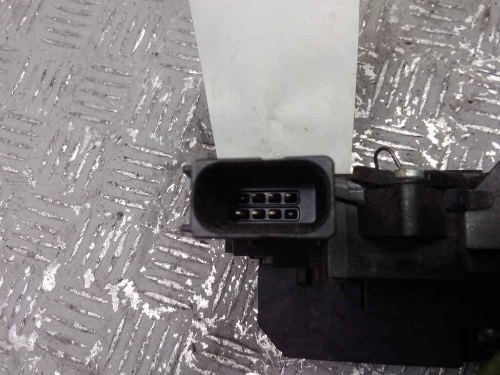 IMG_20211012_102229.jpg