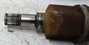 DSC04184.JPG