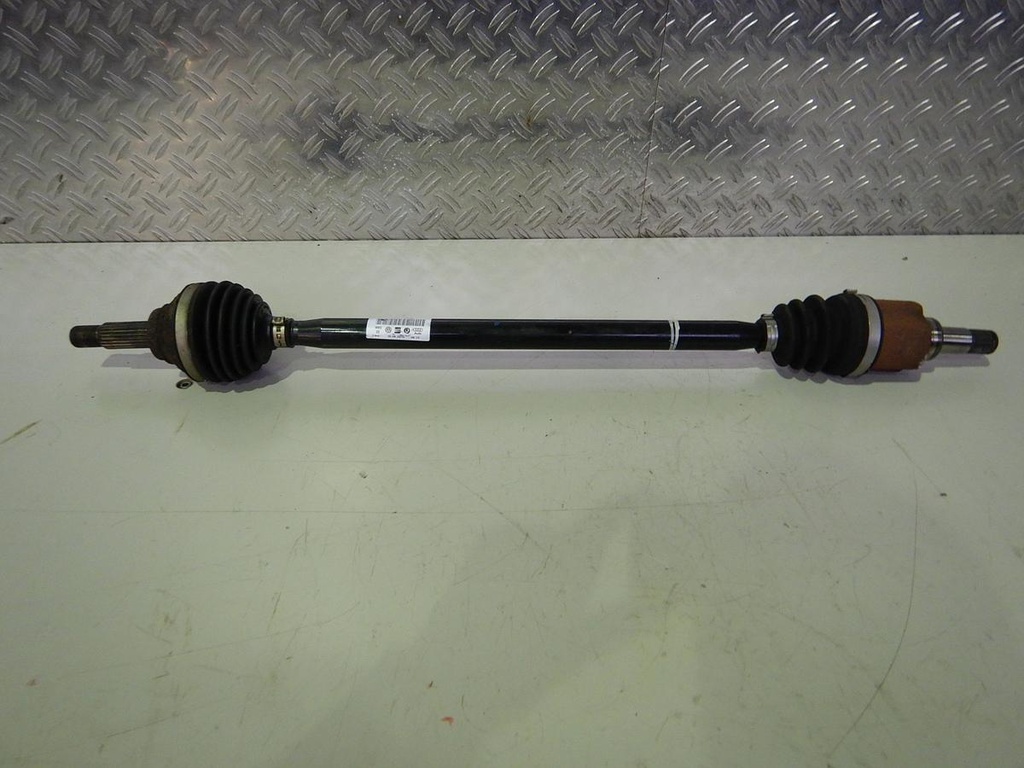 DSCN4391.JPG