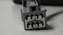 DSC07683.JPG