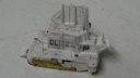 DSC09931.JPG