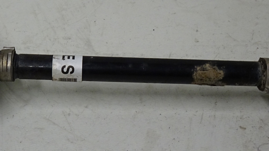 DSC00253.JPG