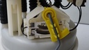 DSC00355.JPG