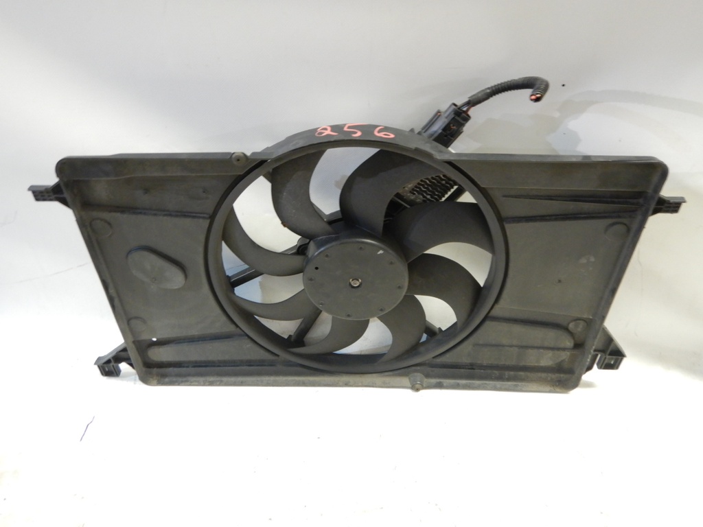 DSCN4690.JPG