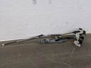 IMG_20220113_111822.jpg
