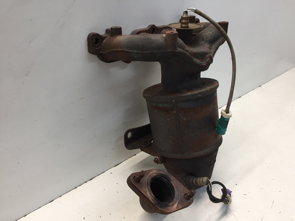 IMG_4873.JPG